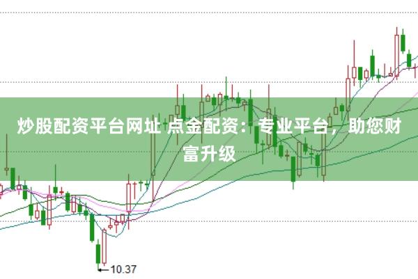 炒股配资平台网址 点金配资：专业平台，助您财富升级
