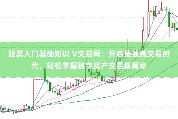 股票入门基础知识 V交易网：开启便捷微交易时代，轻松掌握数字资产交易新篇章