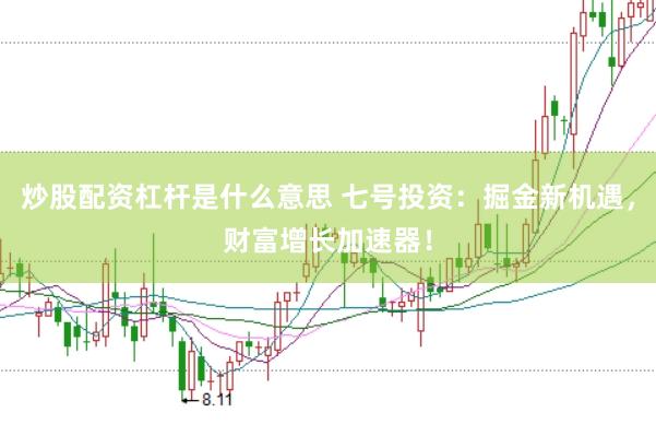 炒股配资杠杆是什么意思 七号投资：掘金新机遇，财富增长加速器！