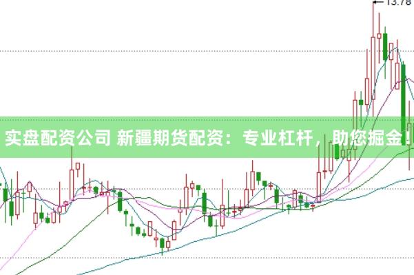 实盘配资公司 新疆期货配资：专业杠杆，助您掘金！