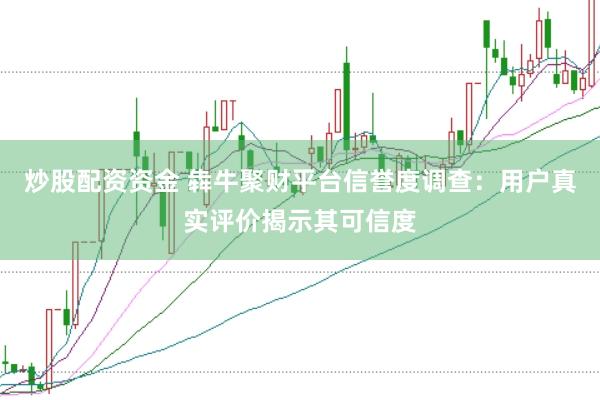炒股配资资金 犇牛聚财平台信誉度调查：用户真实评价揭示其可信度