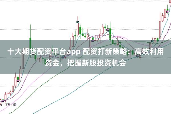 十大期货配资平台app 配资打新策略：高效利用资金，把握新股投资机会