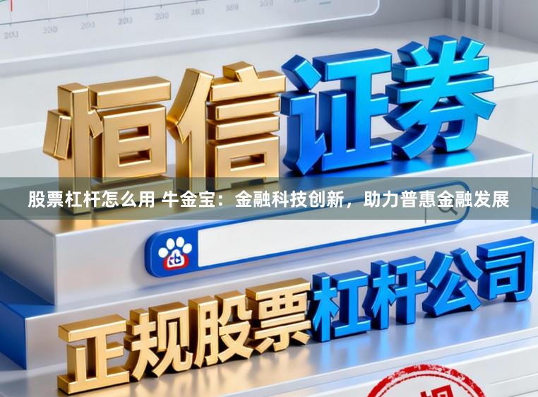 股票杠杆怎么用 牛金宝：金融科技创新，助力普惠金融发展