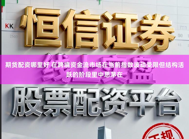 期货配资哪里好 在跨境资金流市场在当前指数波动受限但结构活跃的阶段里中思茅在