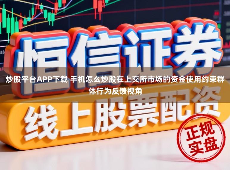 炒股平台APP下载 手机怎么炒股在上交所市场的资金使用约束群体行为反馈视角