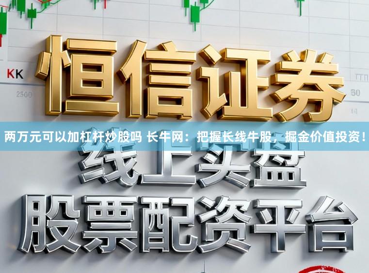 两万元可以加杠杆炒股吗 长牛网：把握长线牛股，掘金价值投资！